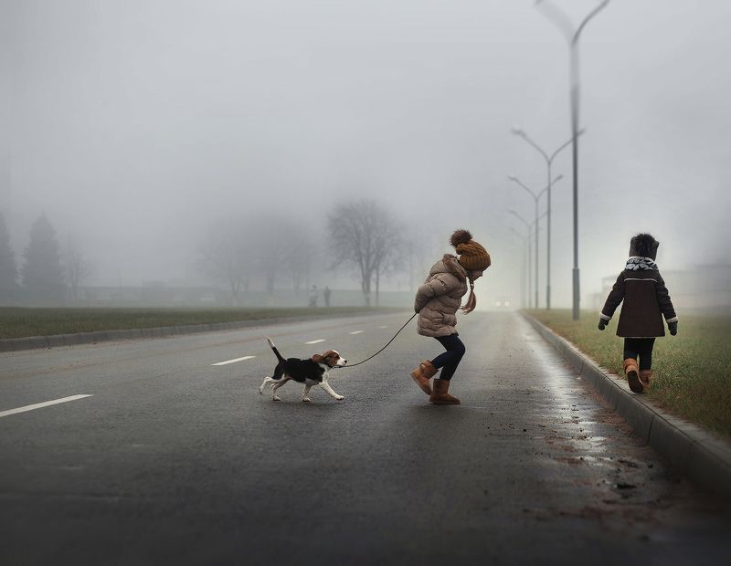 Туманным днем... фото превью