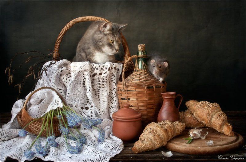 Кошки-мышки, Крыса дамбо, Крысиные истории Крысиные истории. Встречаем весну фото превью