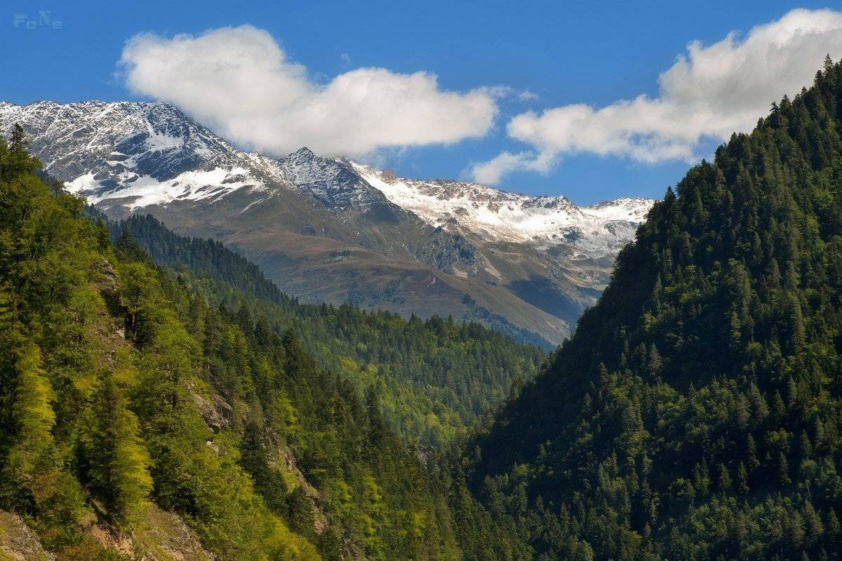 , Роман Красов