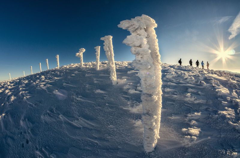 pluto expedition фото превью
