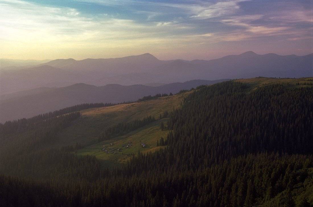 , Ярослав Тюрменко (Jaremi)