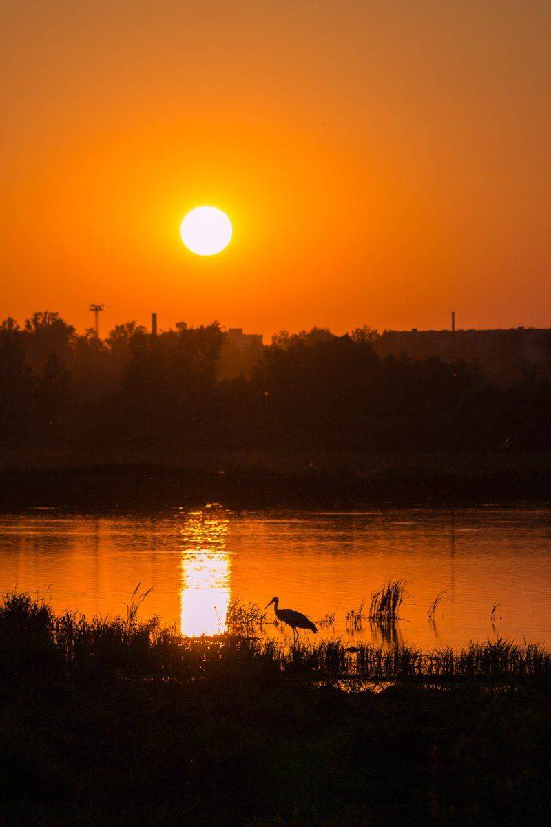 , Александр