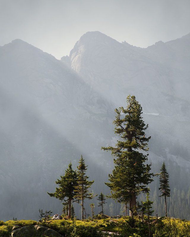 большой, вечер, высокий, голубой, горы, деревья, дымка, ергаки, зеленый, камни, красивый, красноярский край, пейзаж, природа, размер, разрешение, саяны, сибирь, скалы, тайга Ергаки фото превью