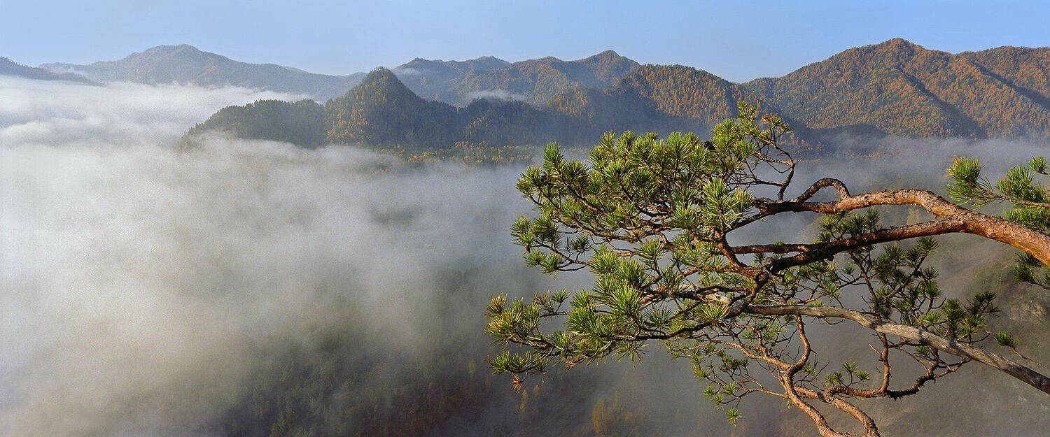 altai, siberia, алтай, катунь, луковка, сибирь, Павел Филатов