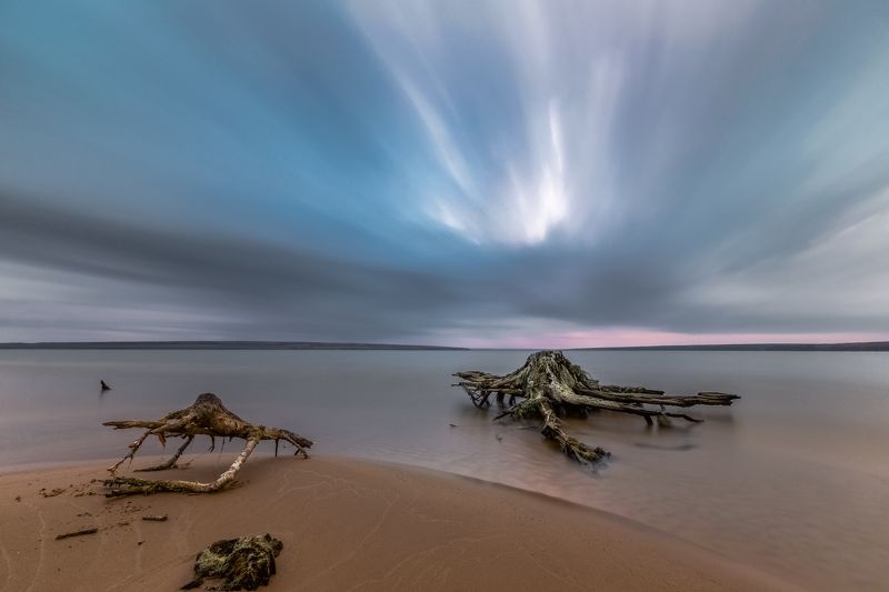Пеньки Артефакты провинциального моря. фото превью