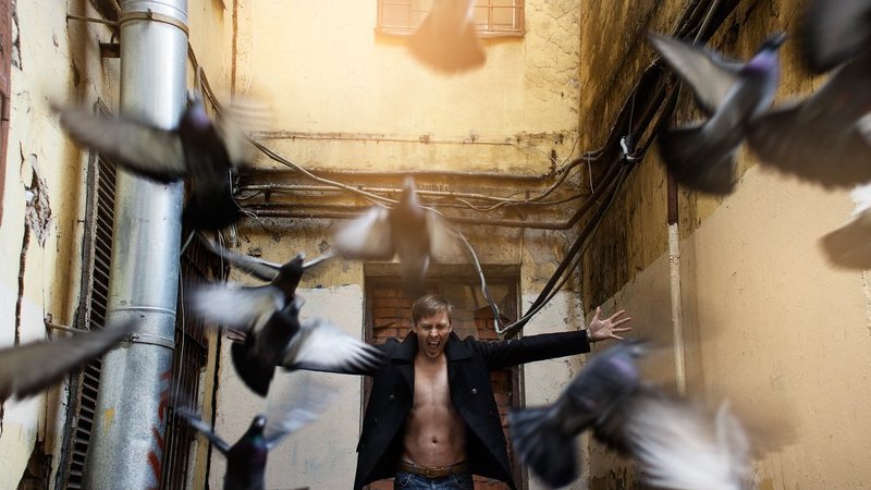 Крик фото превью