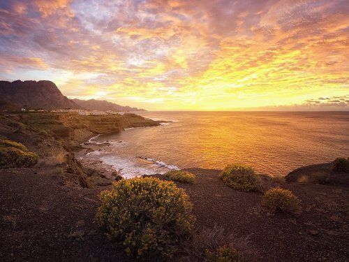 Берег мечты