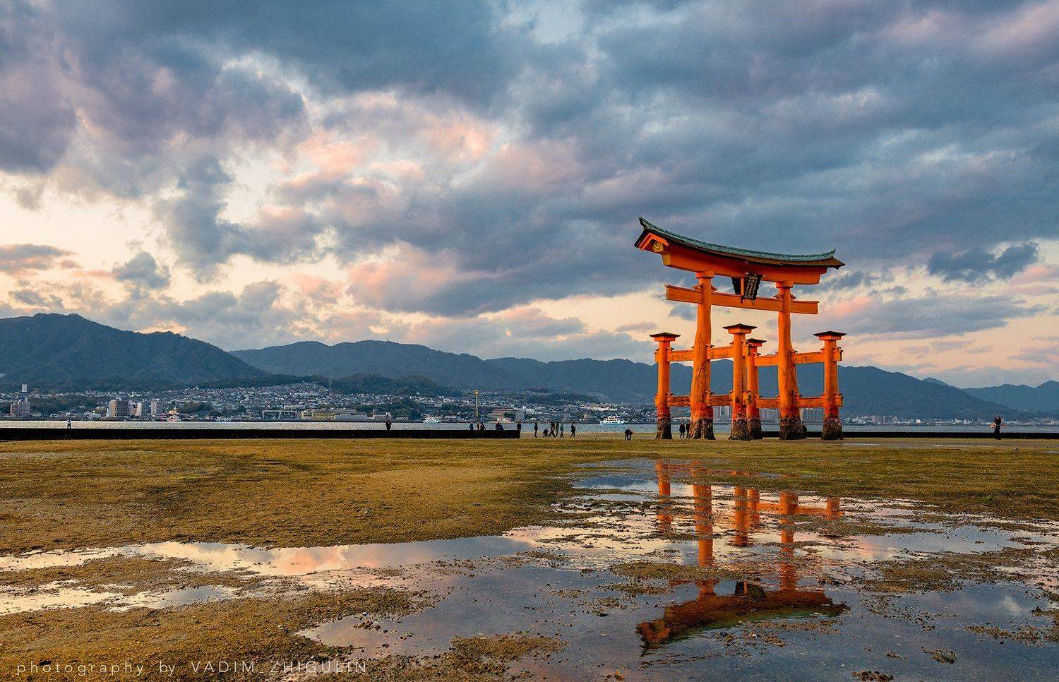 , Вадим Жигулин