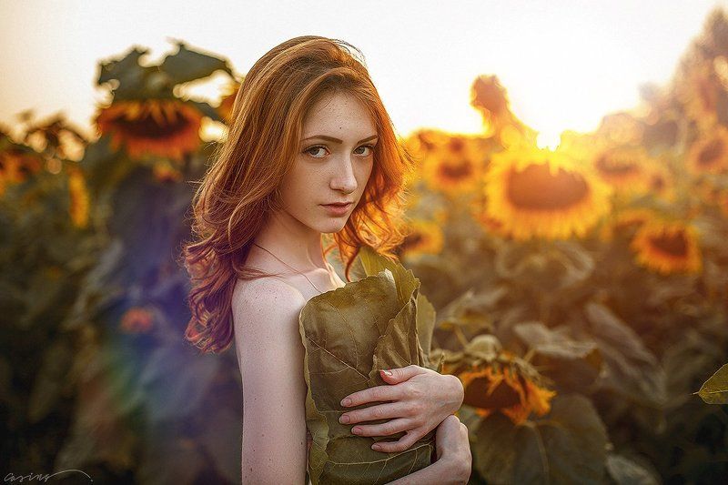 august, summer, sunflowers, beauty, beautiful, girl August фото превью
