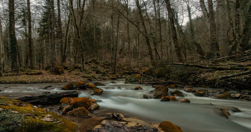 река, вода, март, 2016 У слияния двух рек фото превью