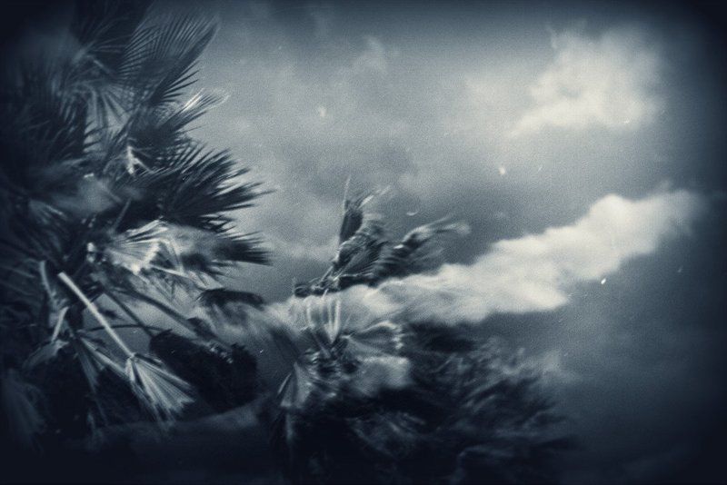 пленка, мультиэкспозиция, средний формат, размышления Шторм фото превью