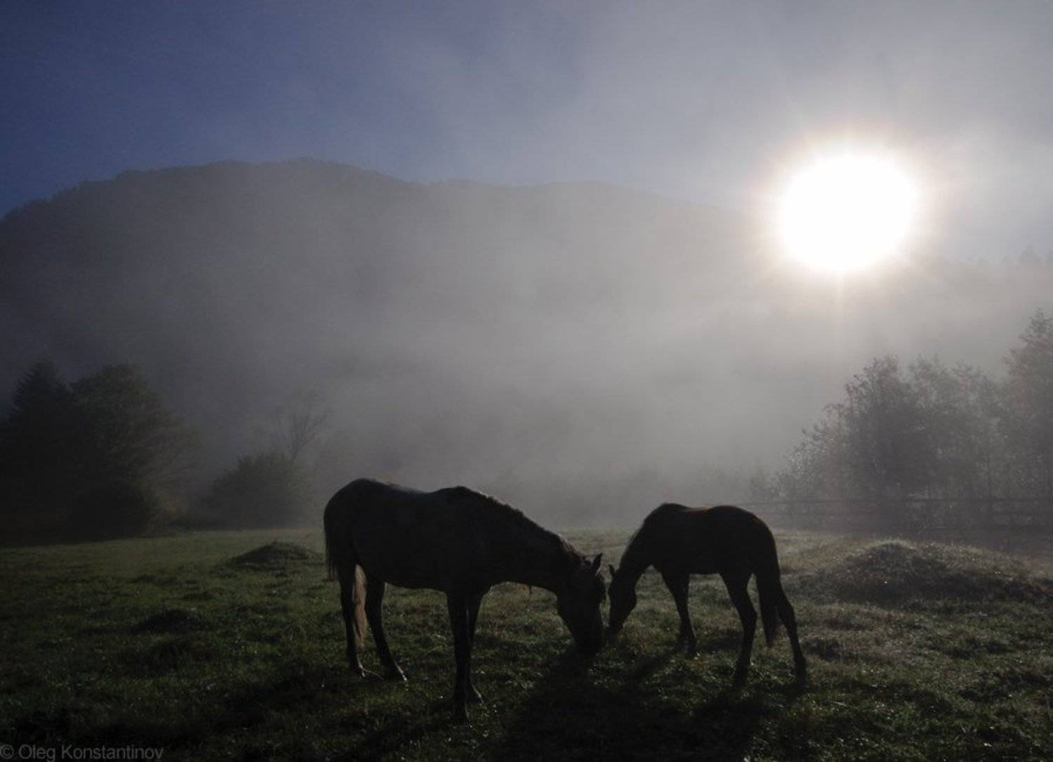 , Олег Константинов