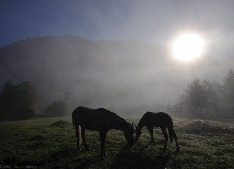 Morning At Umpyr фото превью