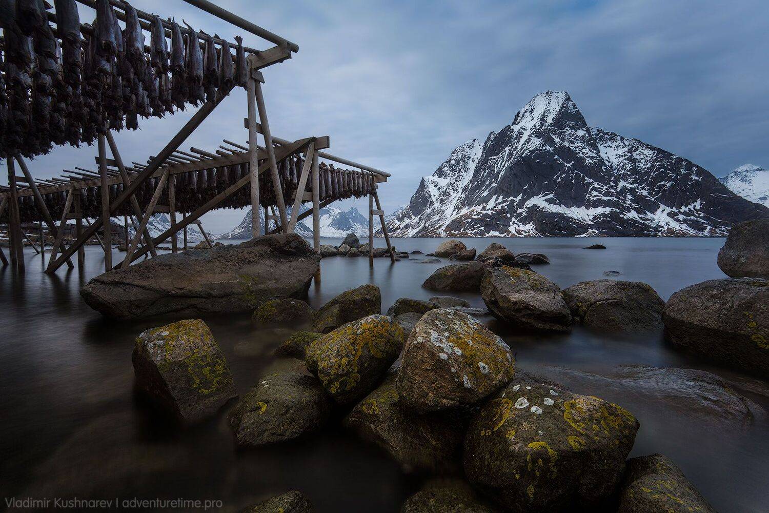 , Vladimir Kushnarev