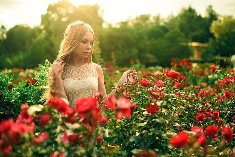 цветы, солнце, лето, природа, красота, розы, девушка, невеста, настроение Цветочная фото превью