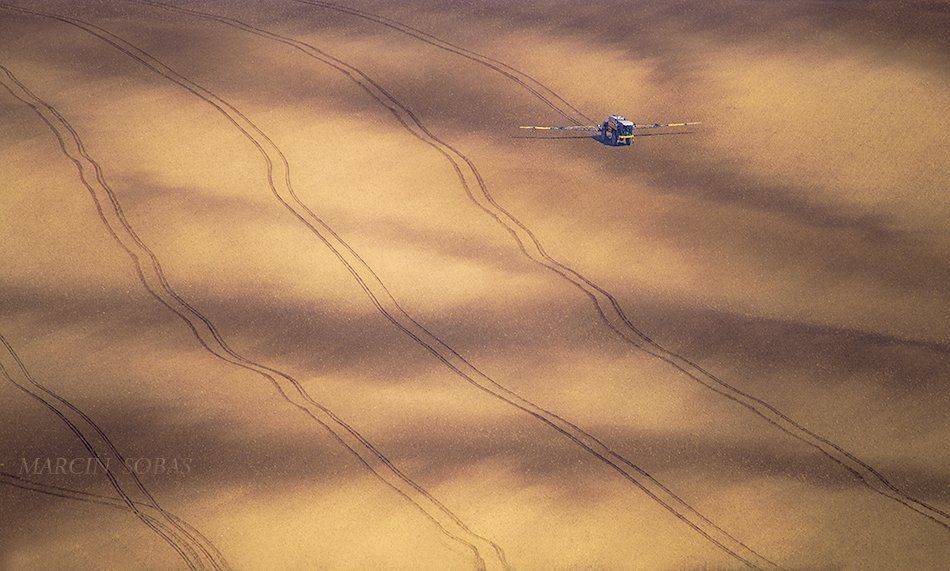 , Marcin Sobas