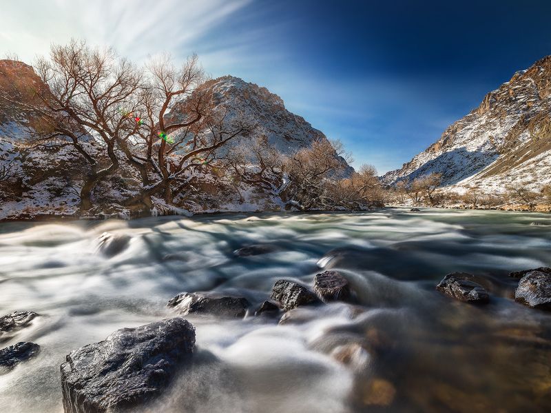 Чарын фото превью