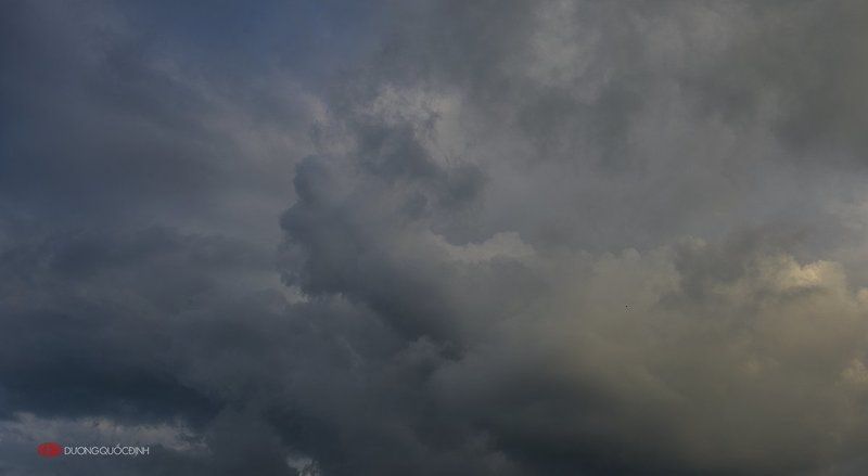 Wordless фото превью