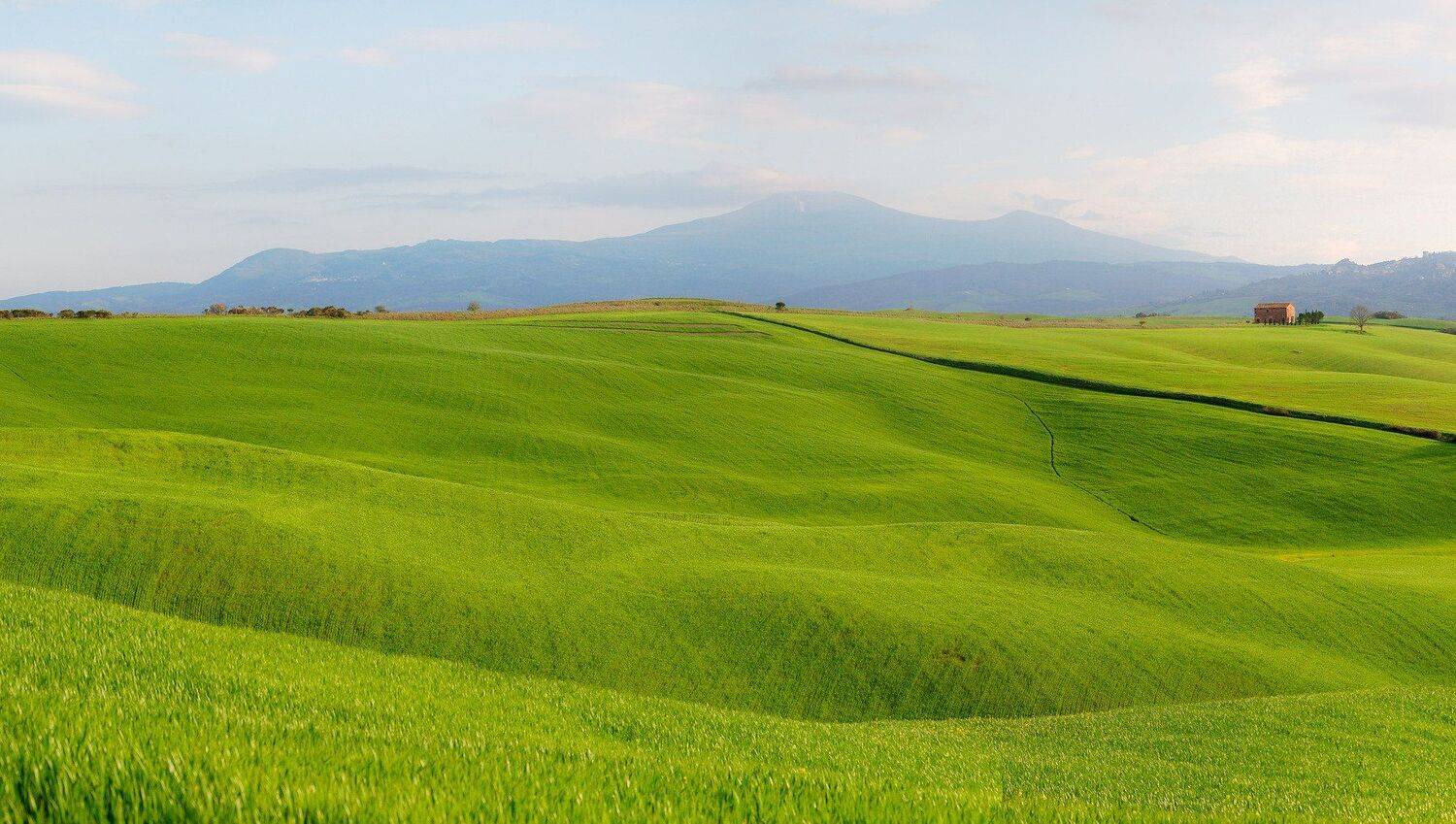Tuscany's spring field. Автор: Исаков Дмитрий , Исаков Дмитрий