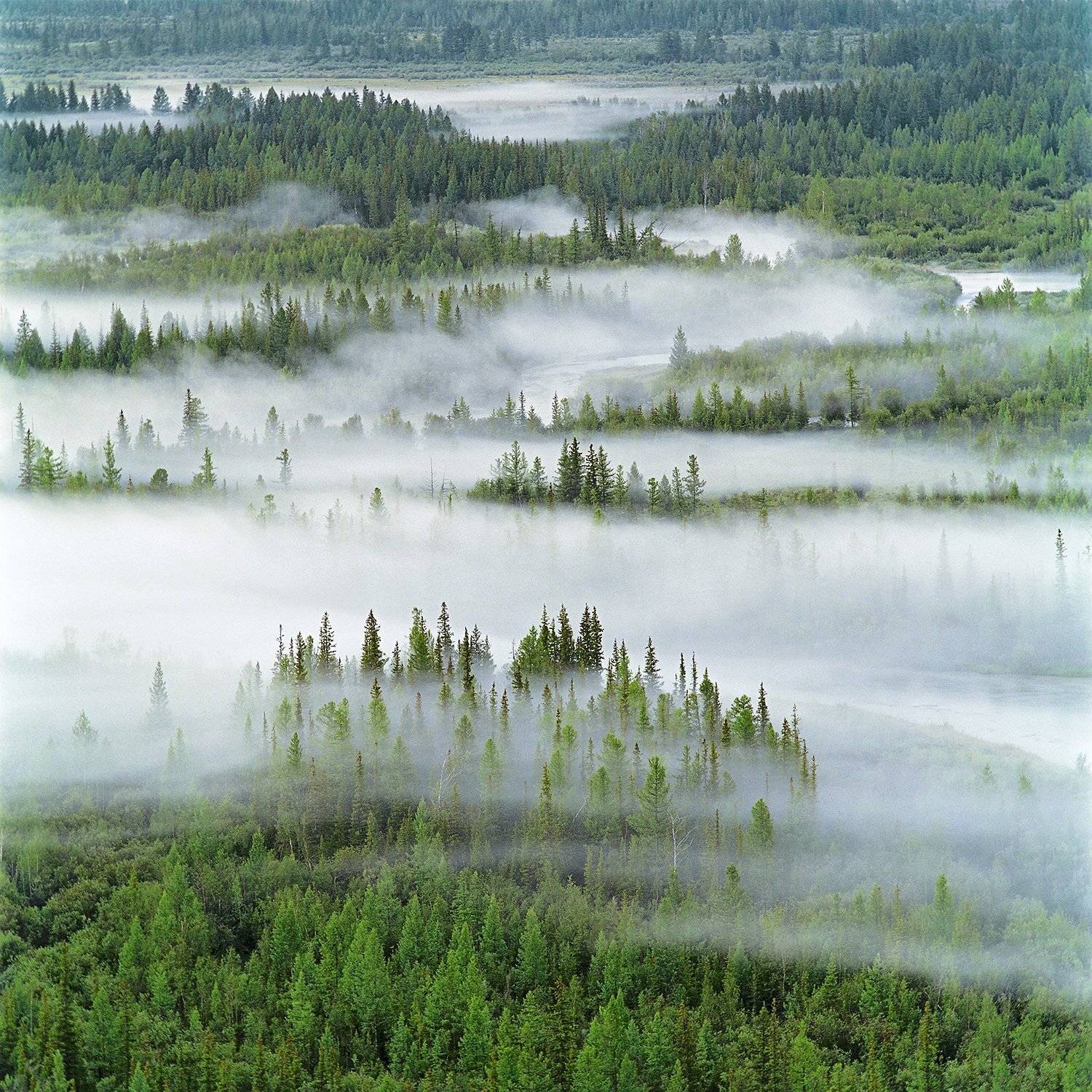 altai, siberia, алтай, курай, сибирь, чуя, Павел Филатов
