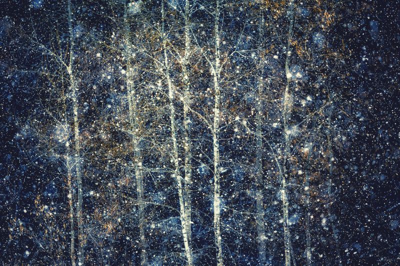 Алтай, Зима, Лес, Природа, Снег Снегопад фото превью