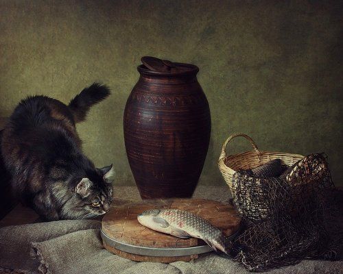 На то и кот, чтоб карась не дремал