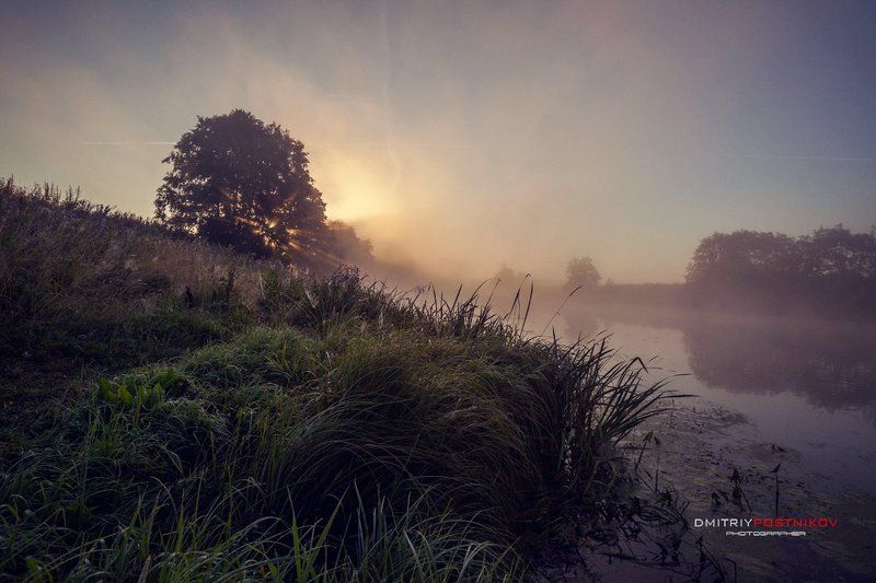 пейзаж,природа,лето,рассвет,река, Туманный рассвет на реке Сестра. фото превью