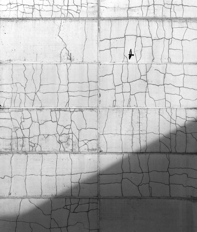 стена фото превью