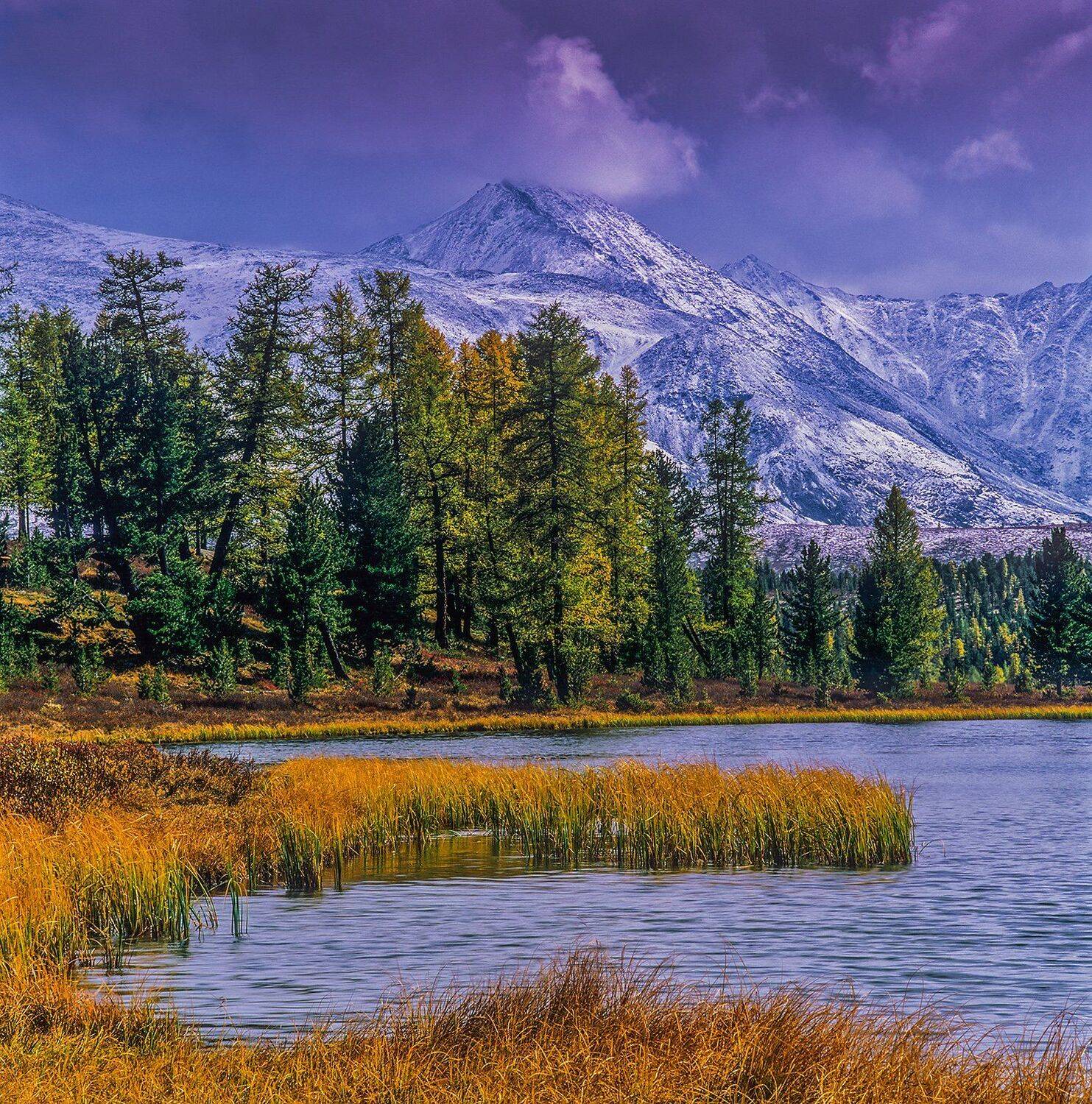 Altai, Siberia, Алтай, Киделю, Сибирь, Улаганский перевал, Павел Филатов