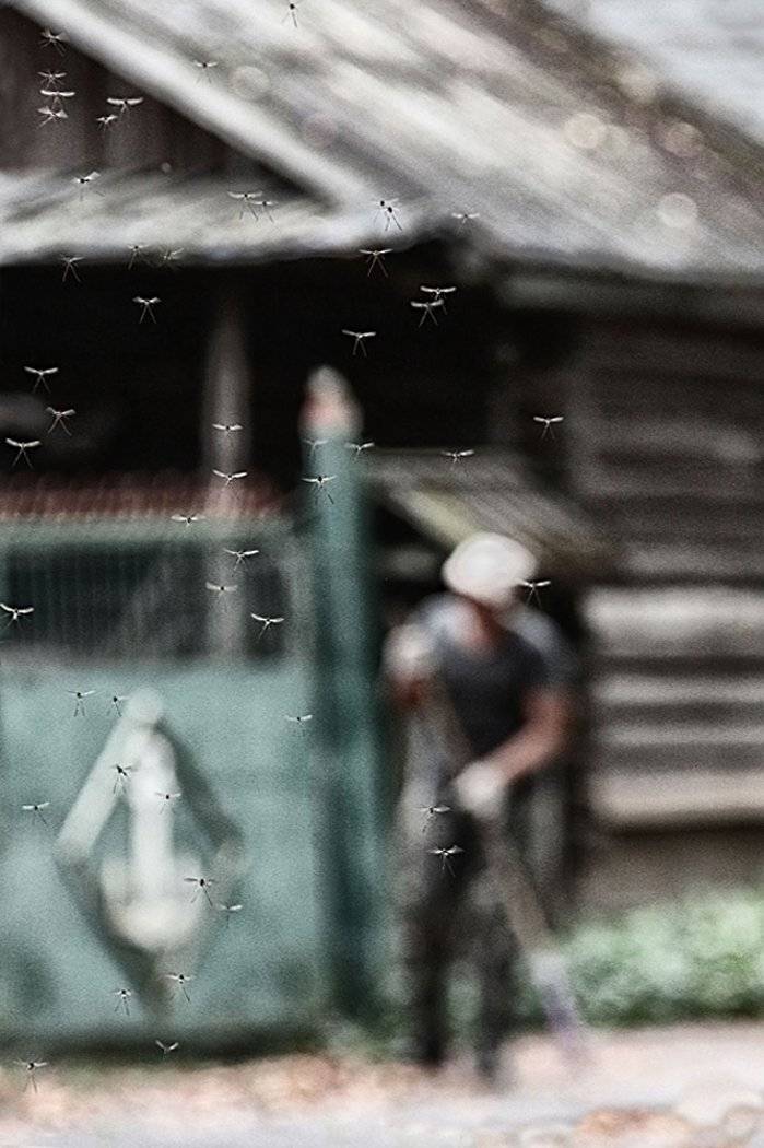 , Елена Лаврова