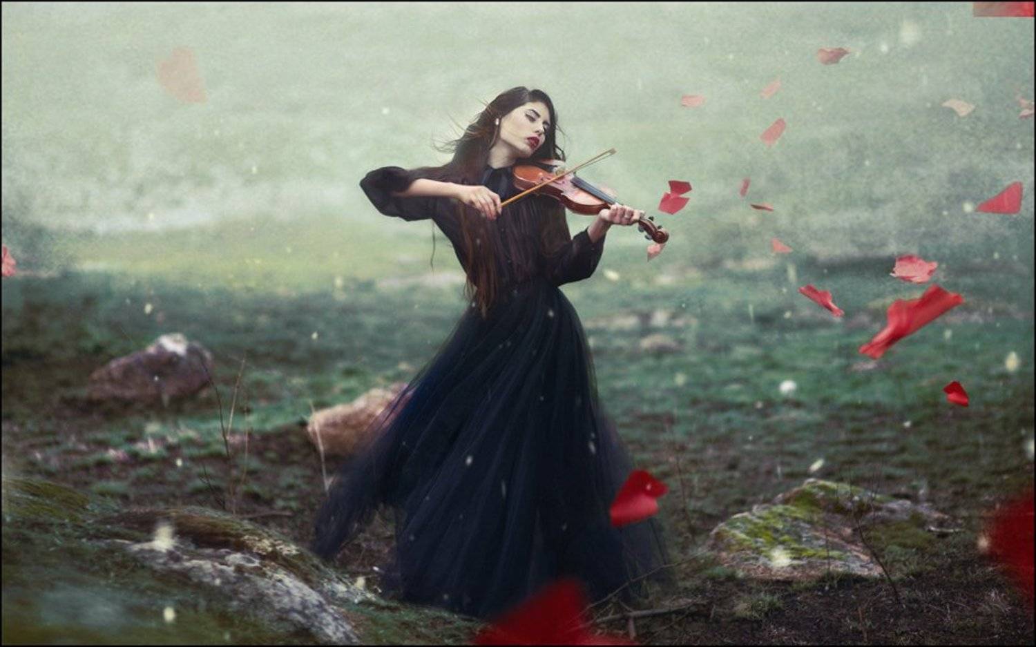 Lucas, Lucastudio, Andrew Lucas