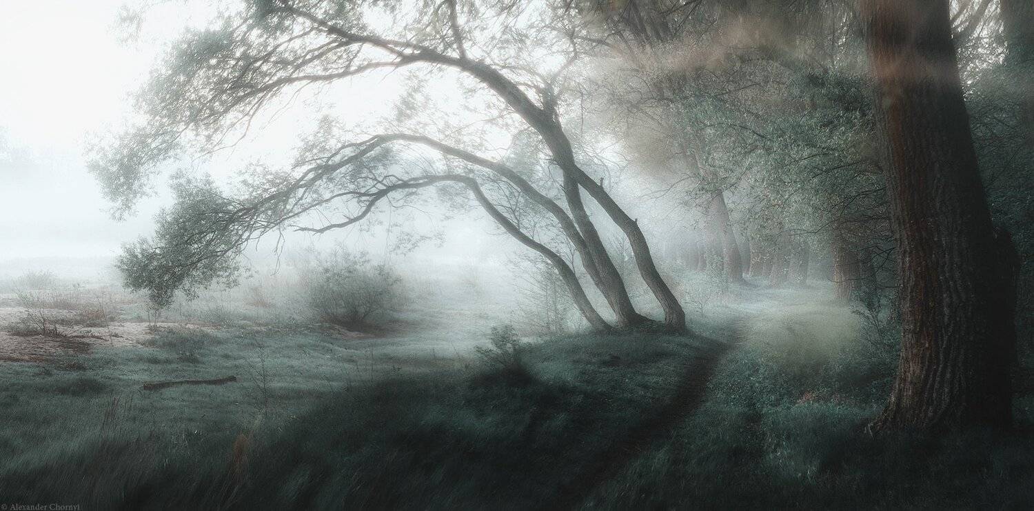 Коростышев, Пейзаж, Р.Тетерев, Туман, Александр Чорный