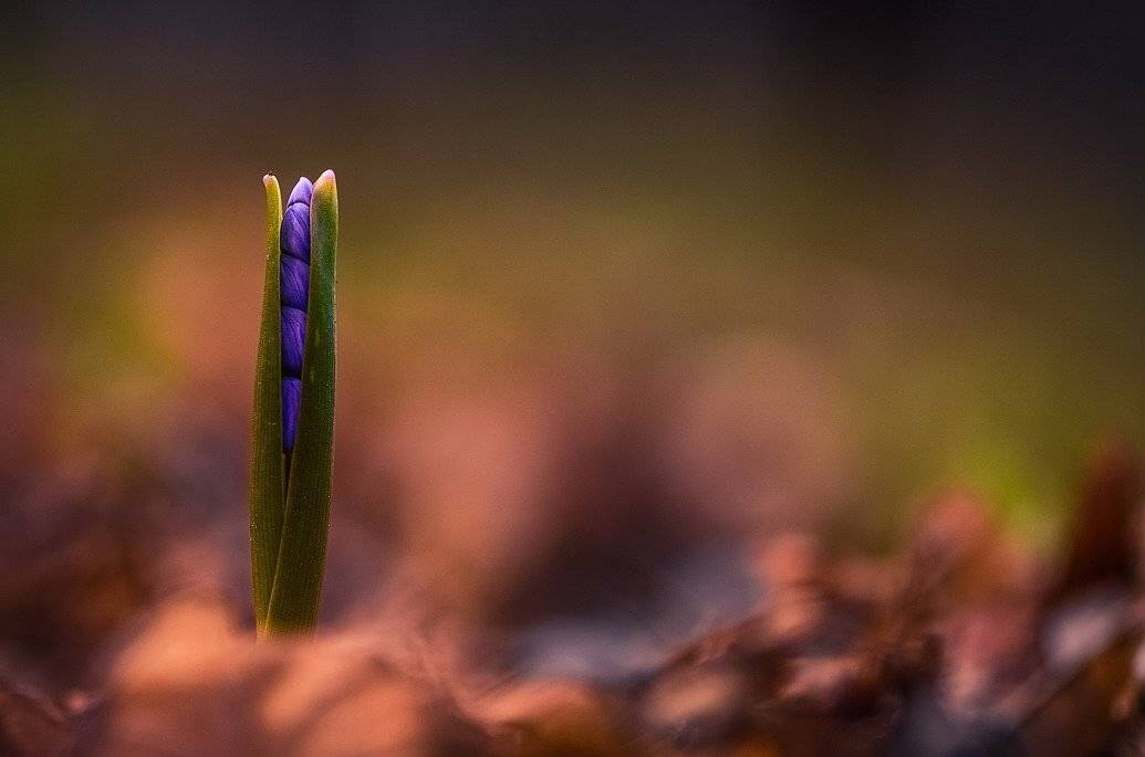 , Вячеслав Мищенко