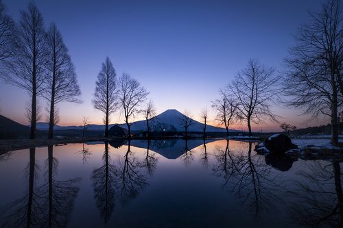 Purple hour