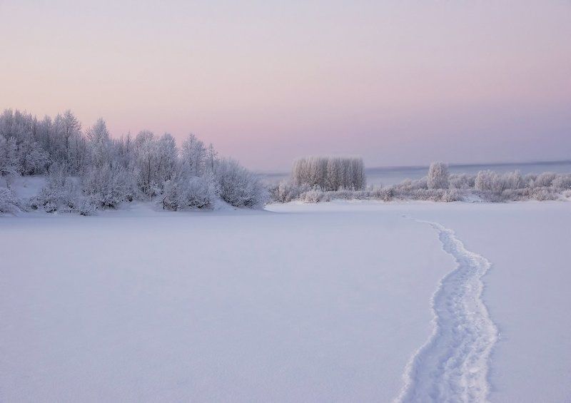 Зимнее пробуждение фото превью