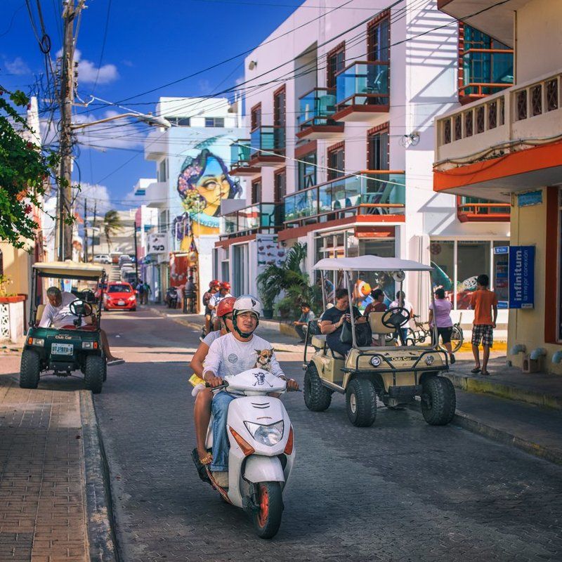 штурман Правильный штурман). фото превью