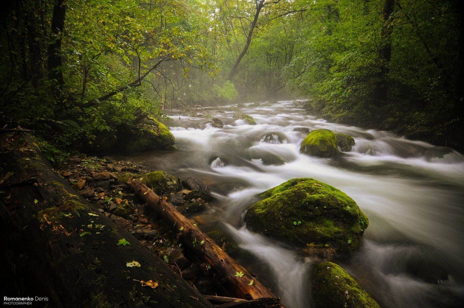 , Романенко Денис