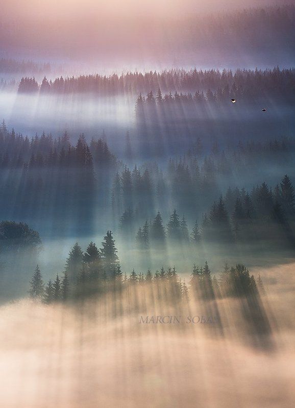 Flight over the rays фото превью