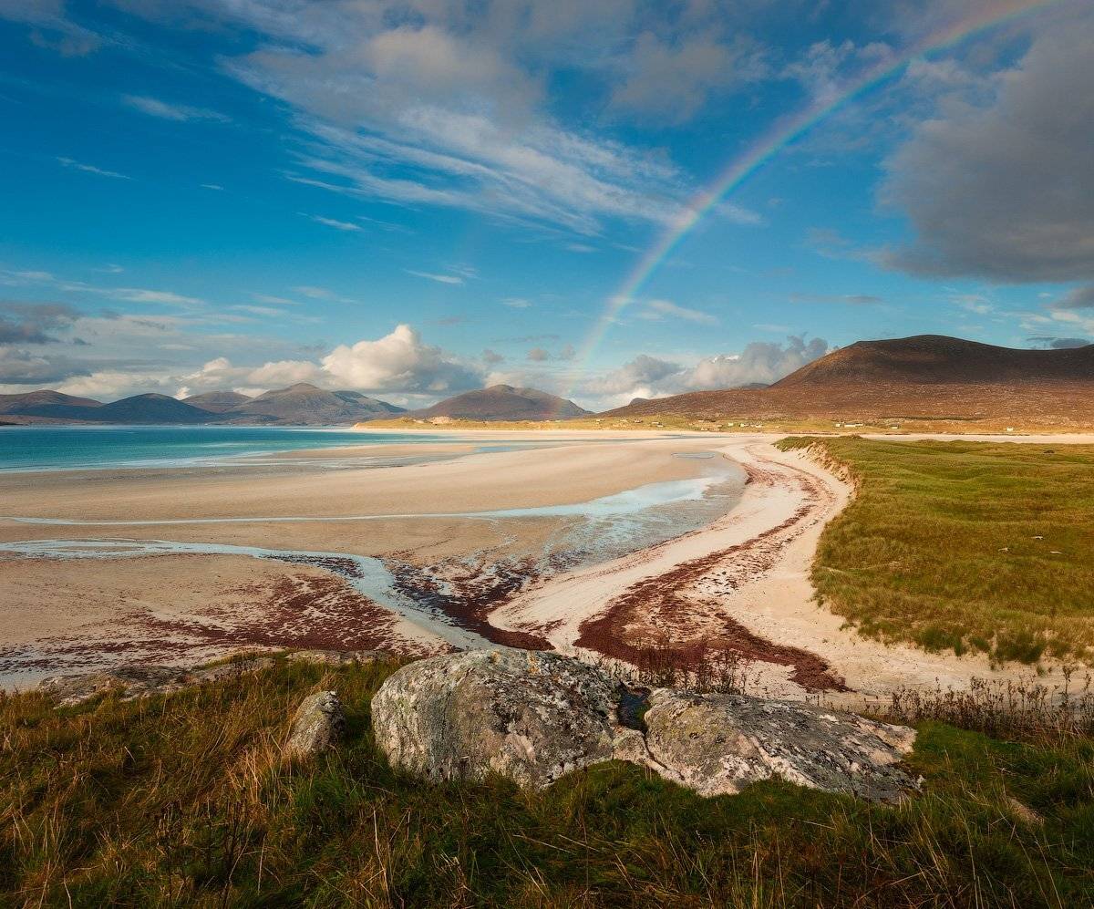 , Андрей Ведерников