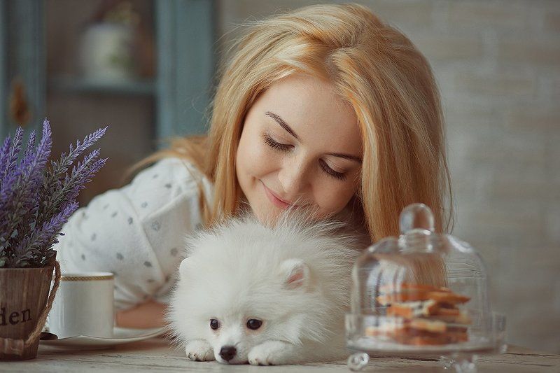 собака, утро, девушка, кофе завтрак фото превью