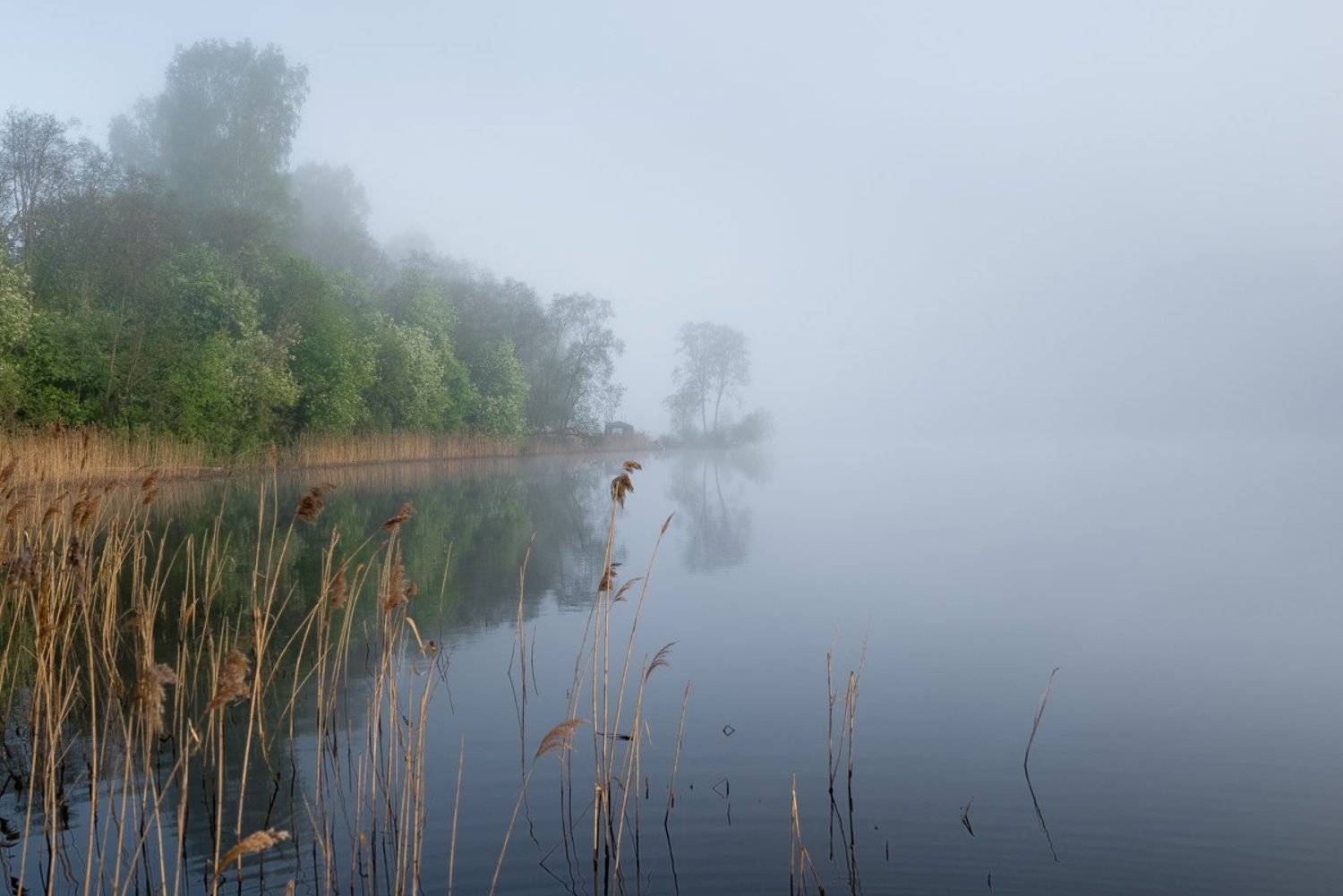 , Сергей Овчинников