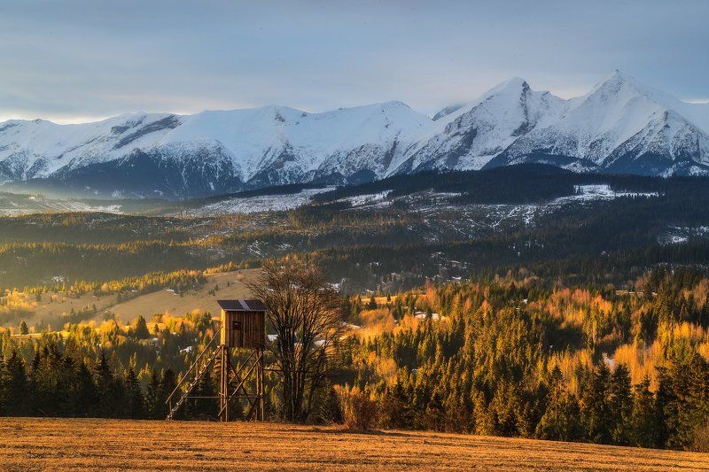 Spring in the Tatra Mountains фото превью