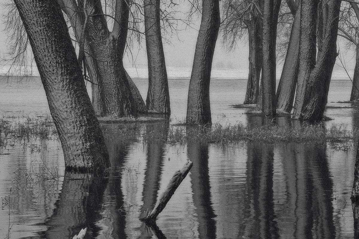 , Валерий Кондратов