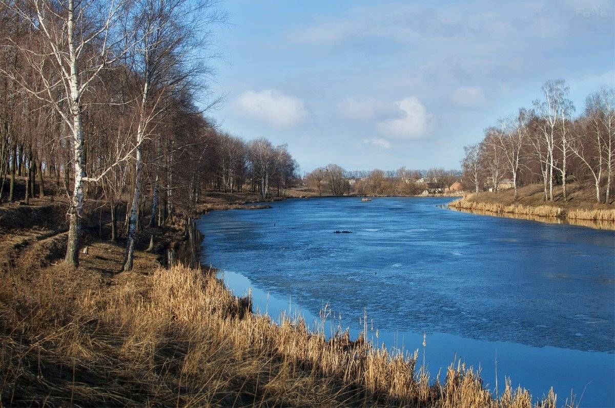 , Роман Красов