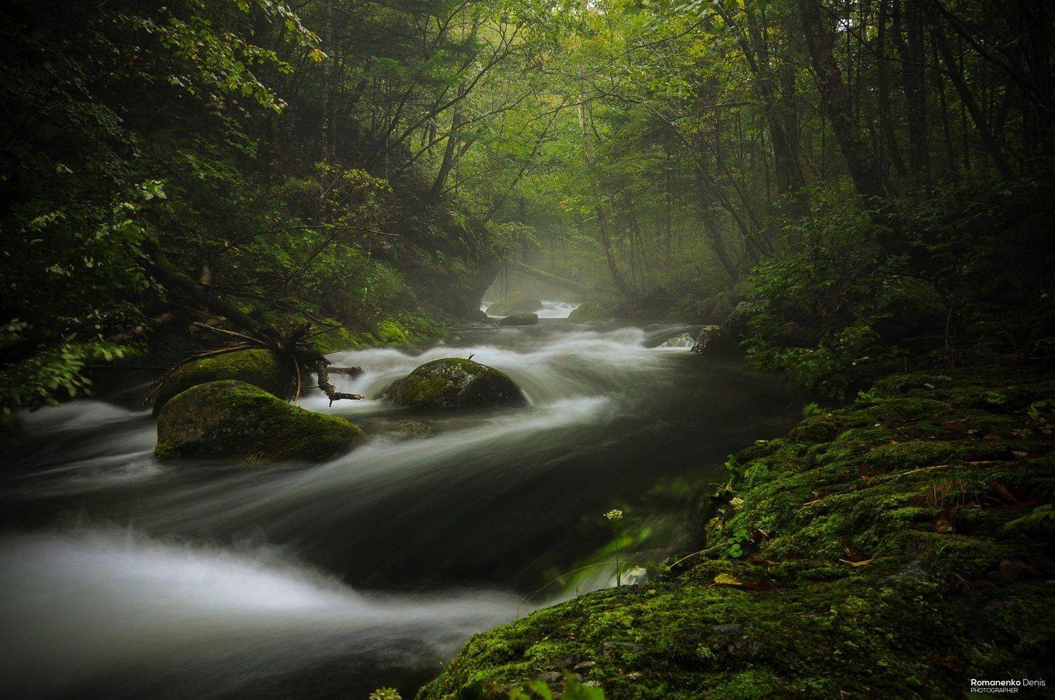 , Романенко Денис