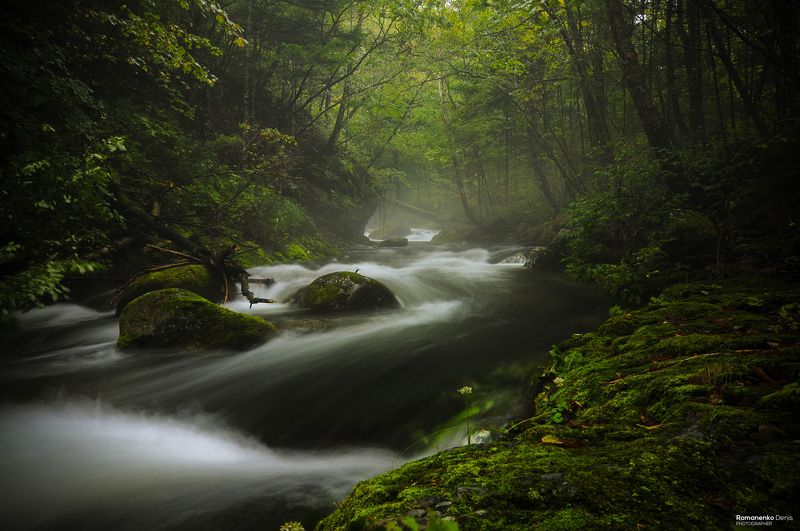 *** фото превью