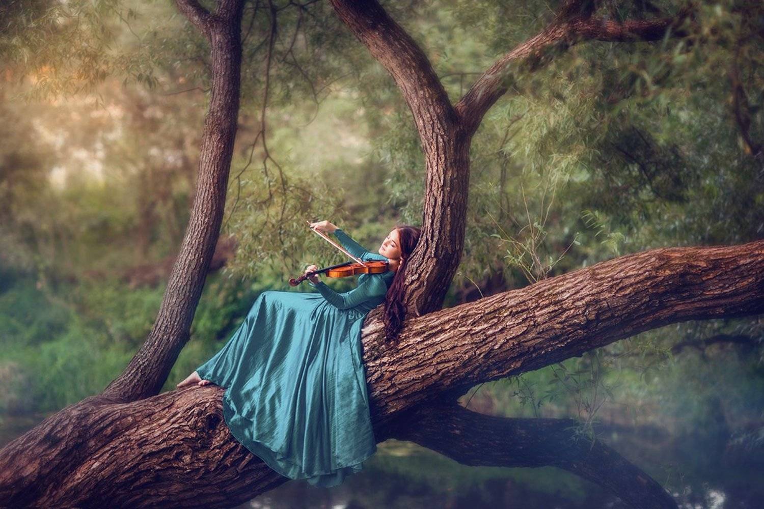 музыка скрипка девушка дерево, Татьяна Пронина