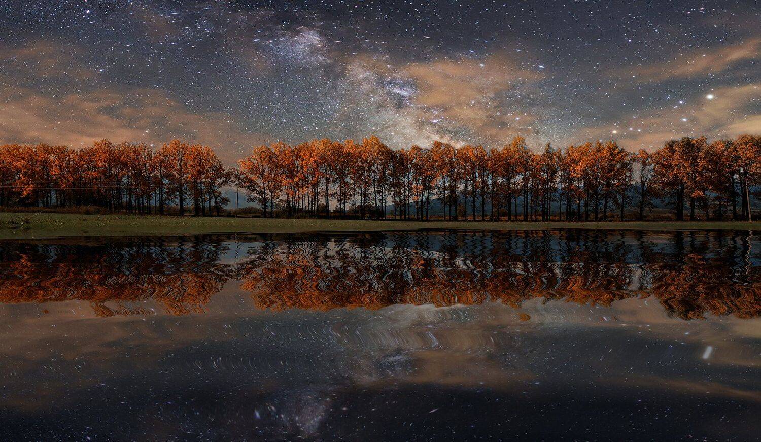 landscape, milky way, nightscape, long exposure, reflections, trees, canon, bulgaria, Todor Todorov