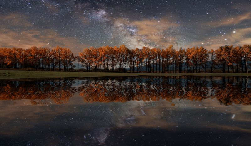 landscape, milky way, nightscape, long exposure, reflections, trees, canon, bulgaria Fantasy Night фото превью