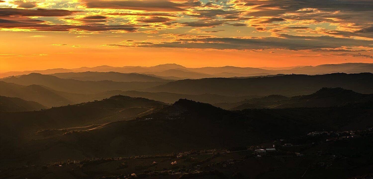 , Игорь Дубровский